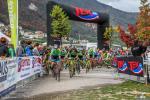 Il Melo Cup